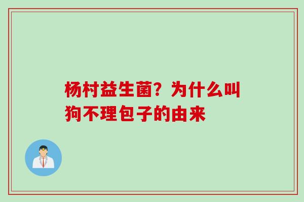 杨村益生菌？为什么叫狗不理包子的由来