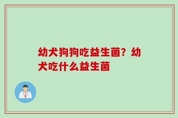 幼犬狗狗吃益生菌？幼犬吃什么益生菌