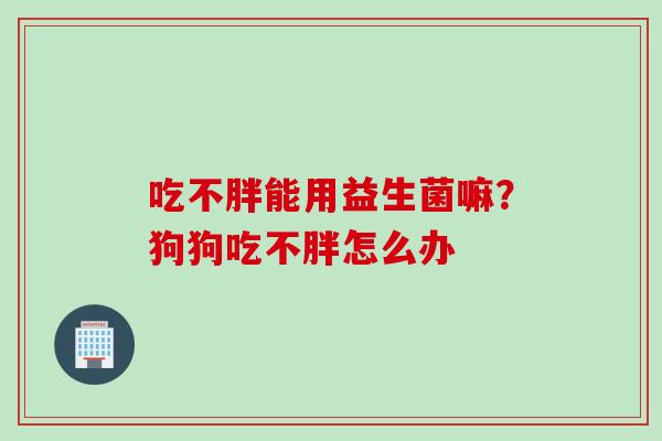 吃不胖能用益生菌嘛？狗狗吃不胖怎么办