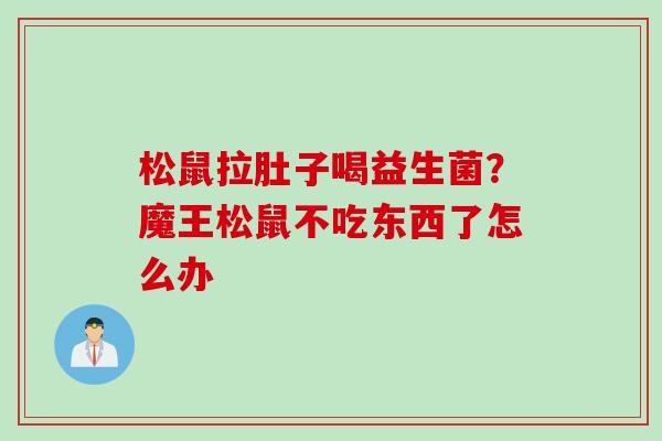 松鼠拉肚子喝益生菌？魔王松鼠不吃东西了怎么办