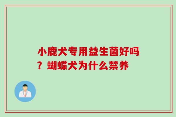 小鹿犬专用益生菌好吗？蝴蝶犬为什么禁养