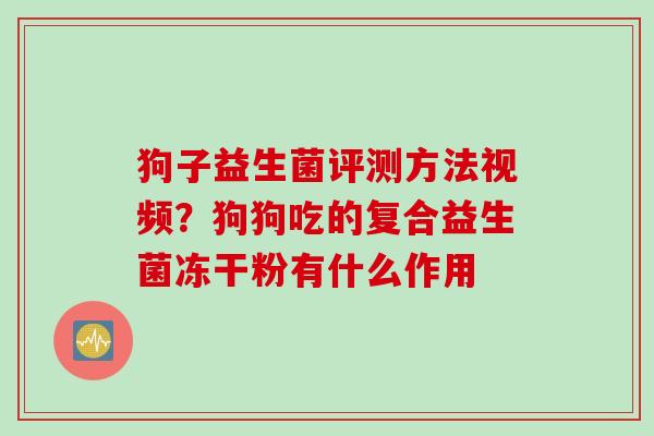 狗子益生菌评测方法视频？狗狗吃的复合益生菌冻干粉有什么作用