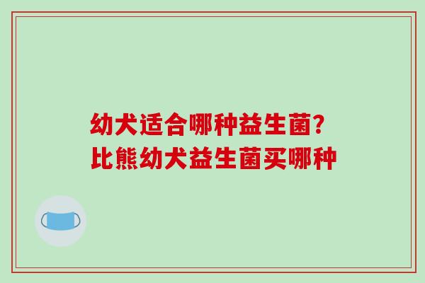 幼犬适合哪种益生菌？比熊幼犬益生菌买哪种