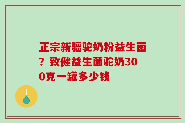 正宗新疆驼奶粉益生菌？致健益生菌驼奶300克一罐多少钱