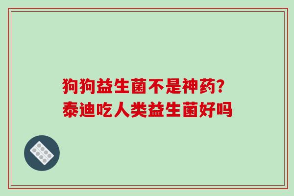 狗狗益生菌不是神药？泰迪吃人类益生菌好吗