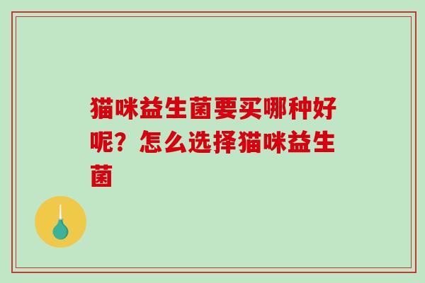 猫咪益生菌要买哪种好呢？怎么选择猫咪益生菌