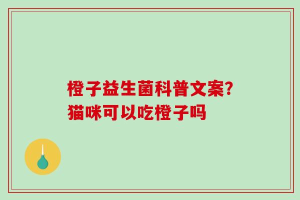 橙子益生菌科普文案？猫咪可以吃橙子吗