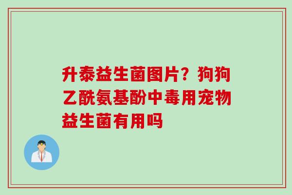 升泰益生菌图片？狗狗乙酰氨基酚中毒用宠物益生菌有用吗
