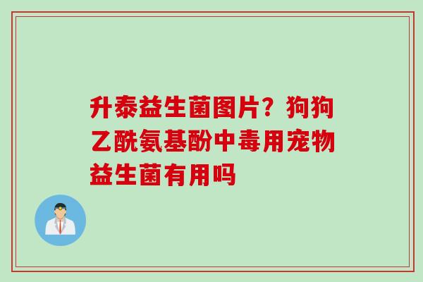 升泰益生菌图片？狗狗乙酰氨基酚中毒用宠物益生菌有用吗