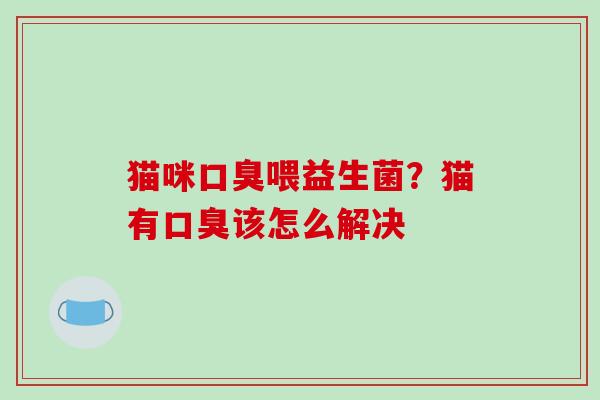 猫咪口臭喂益生菌？猫有口臭该怎么解决