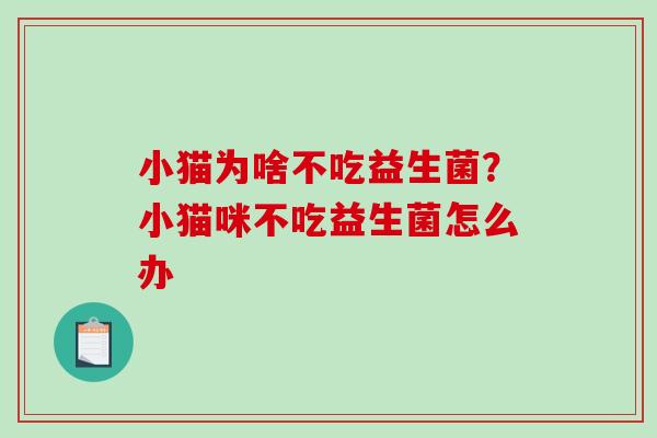 小猫为啥不吃益生菌？小猫咪不吃益生菌怎么办