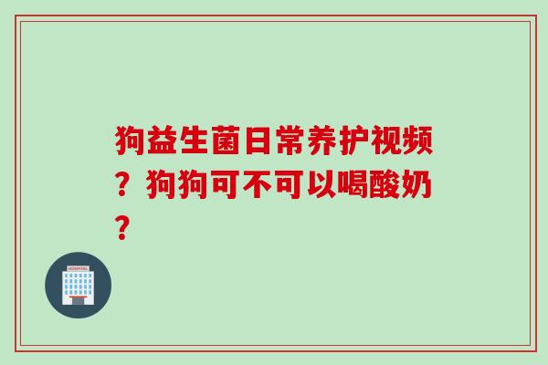 狗益生菌日常养护视频？狗狗可不可以喝酸奶？