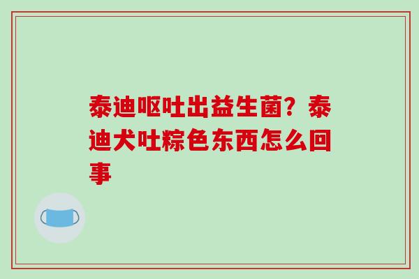 泰迪呕吐出益生菌？泰迪犬吐粽色东西怎么回事
