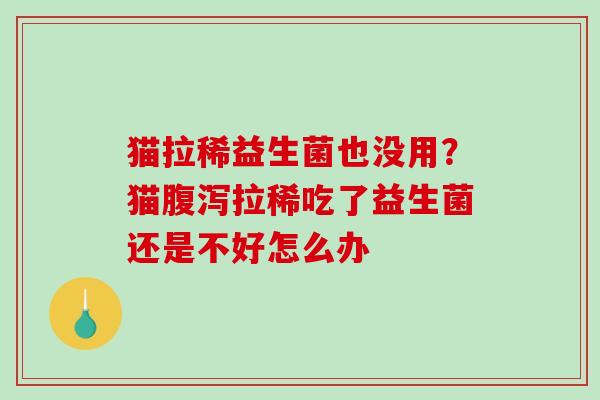 猫拉稀益生菌也没用？猫腹泻拉稀吃了益生菌还是不好怎么办