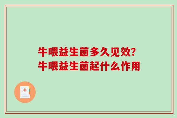 牛喂益生菌多久见效？牛喂益生菌起什么作用