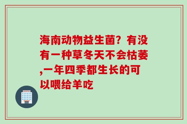 海南动物益生菌？有没有一种草冬天不会枯萎,一年四季都生长的可以喂给羊吃