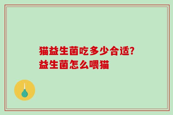 猫益生菌吃多少合适？益生菌怎么喂猫