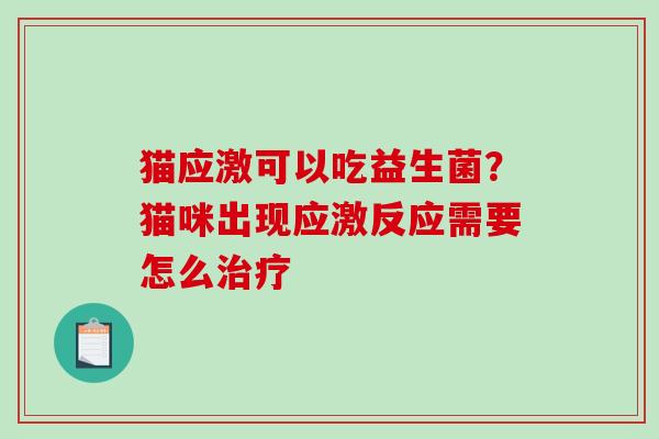 猫应激可以吃益生菌？猫咪出现应激反应需要怎么治疗