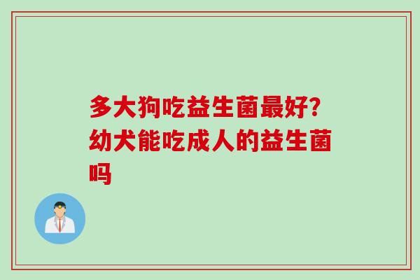 多大狗吃益生菌好？幼犬能吃成人的益生菌吗