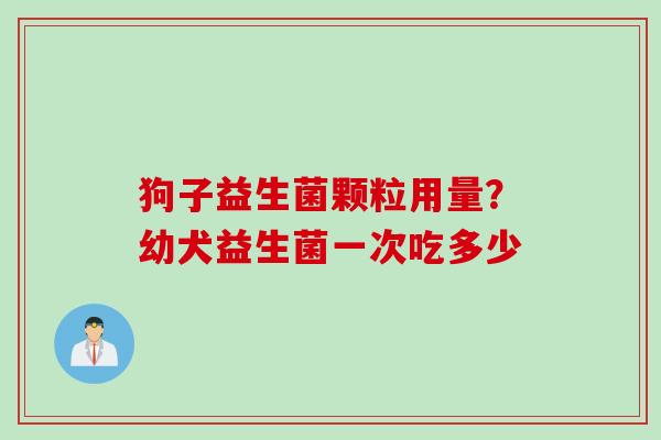 狗子益生菌颗粒用量？幼犬益生菌一次吃多少