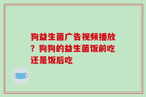 狗益生菌广告视频播放？狗狗的益生菌饭前吃还是饭后吃