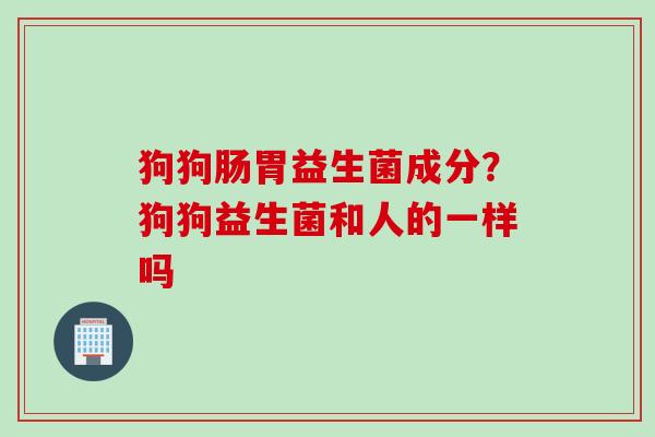 狗狗肠胃益生菌成分？狗狗益生菌和人的一样吗
