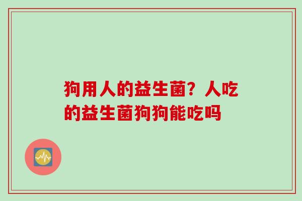 狗用人的益生菌？人吃的益生菌狗狗能吃吗