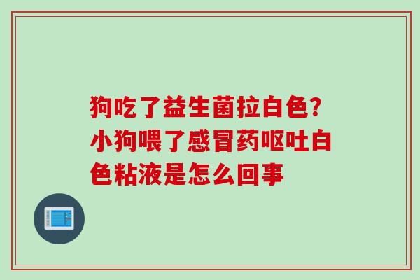 狗吃了益生菌拉白色？小狗喂了药白色粘液是怎么回事