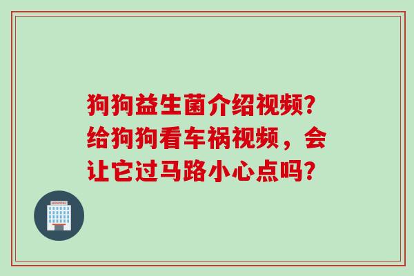 狗狗益生菌介绍视频？给狗狗看车祸视频，会让它过马路小心点吗？