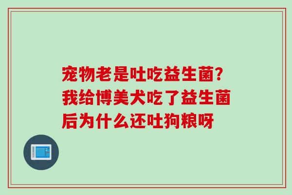 宠物老是吐吃益生菌？我给博美犬吃了益生菌后为什么还吐狗粮呀