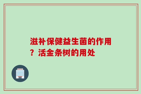 滋补保健益生菌的作用？活金条树的用处