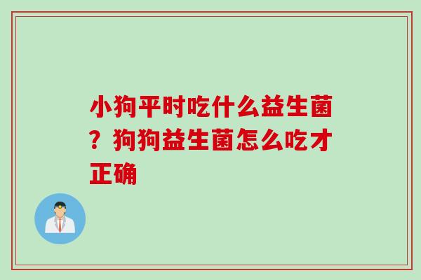 小狗平时吃什么益生菌？狗狗益生菌怎么吃才正确