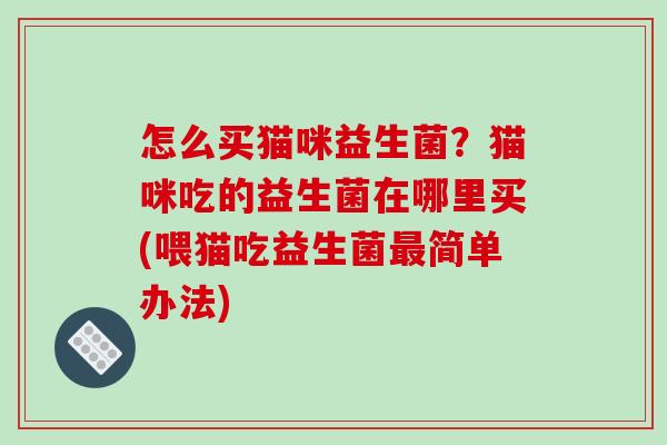 怎么买猫咪益生菌？猫咪吃的益生菌在哪里买(喂猫吃益生菌简单办法)