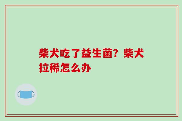 柴犬吃了益生菌？柴犬拉稀怎么办