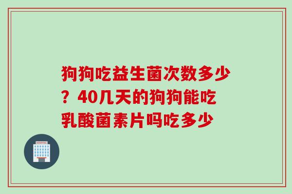 狗狗吃益生菌次数多少？40几天的狗狗能吃乳酸菌素片吗吃多少