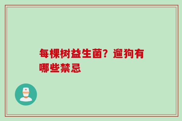 每棵树益生菌？遛狗有哪些禁忌