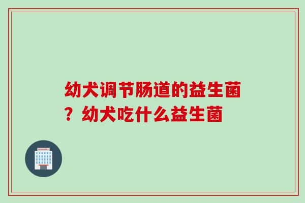 幼犬调节肠道的益生菌？幼犬吃什么益生菌