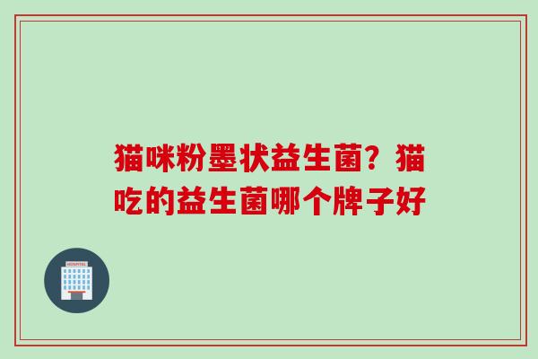 猫咪粉墨状益生菌？猫吃的益生菌哪个牌子好