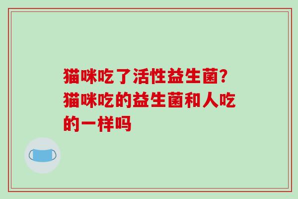 猫咪吃了活性益生菌？猫咪吃的益生菌和人吃的一样吗