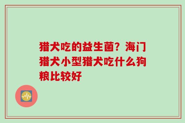 猎犬吃的益生菌？海门猎犬小型猎犬吃什么狗粮比较好