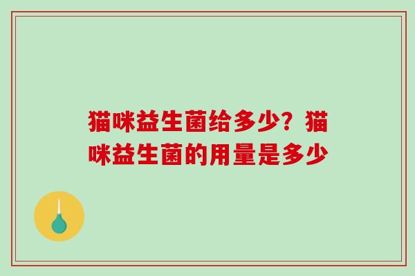 猫咪益生菌给多少？猫咪益生菌的用量是多少