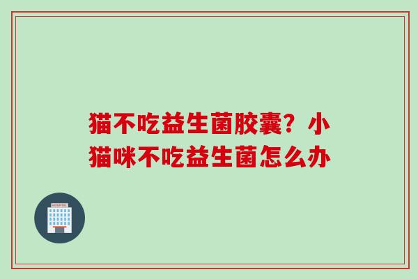 猫不吃益生菌胶囊？小猫咪不吃益生菌怎么办