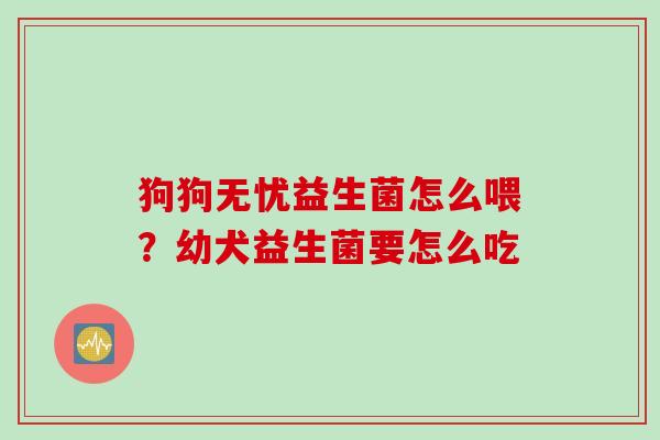 狗狗无忧益生菌怎么喂？幼犬益生菌要怎么吃