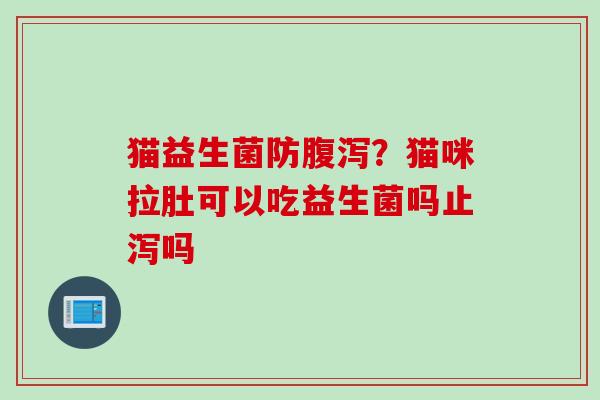 猫益生菌防腹泻？猫咪拉肚可以吃益生菌吗止泻吗