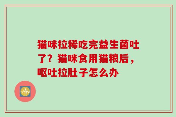 猫咪拉稀吃完益生菌吐了？猫咪食用猫粮后，拉肚子怎么办