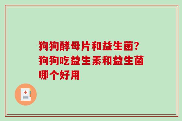 狗狗酵母片和益生菌？狗狗吃益生素和益生菌哪个好用