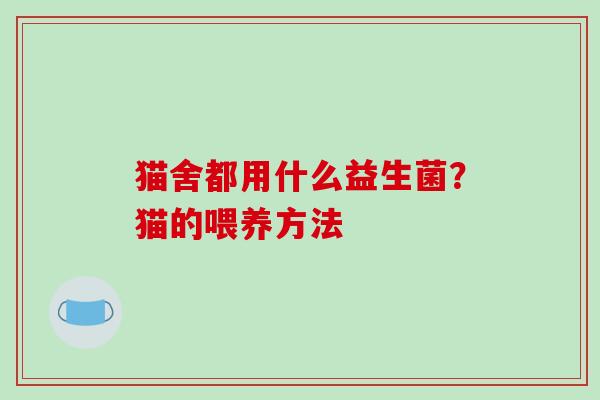 猫舍都用什么益生菌？猫的喂养方法