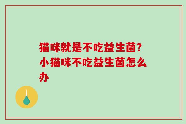 猫咪就是不吃益生菌？小猫咪不吃益生菌怎么办