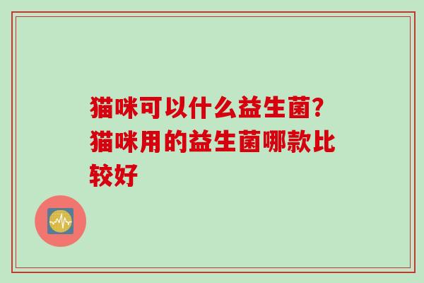 猫咪可以什么益生菌？猫咪用的益生菌哪款比较好