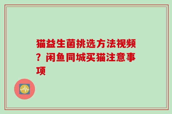 猫益生菌挑选方法视频？闲鱼同城买猫注意事项